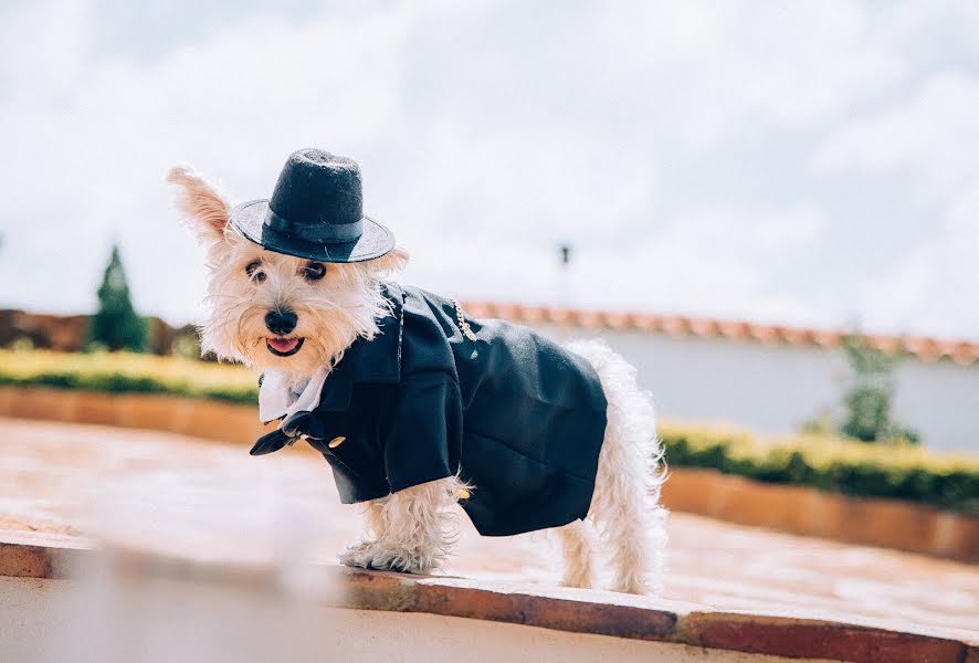 Fotógrafo de bodas Mauricio Serrano (mauricioserrano). Foto del 26 de septiembre 2018