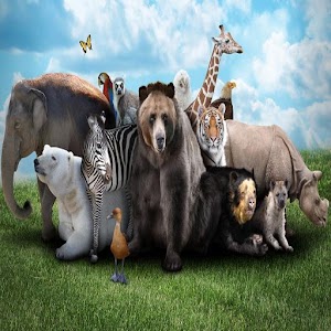 Wildlife Puzzle.apk 1.0