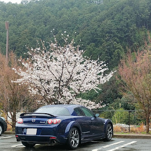 RX-8 SE3P