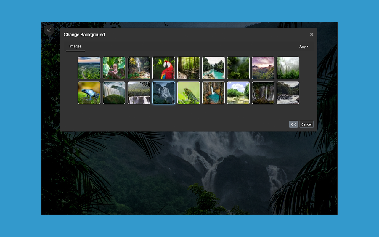 Amazon Rain Forest - New Tab Preview image 1