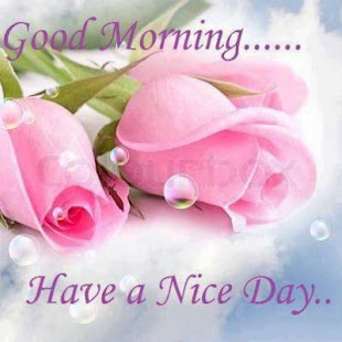 Good Morning Flowers(圖7)-速報App