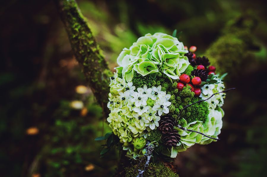 Wedding photographer Anna Alekseenko (alekseenko). Photo of 2 January 2014