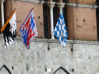 Catedral de Siena y ¡menuda sorpresa! - BAJO EL CIELO DE LA TOSCANA (33)