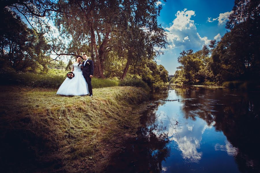 結婚式の写真家Aleksandr Koshalko (koshalko)。2014 6月8日の写真