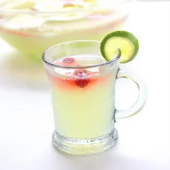 Vodka Limeade Punch - Crazy for Crust