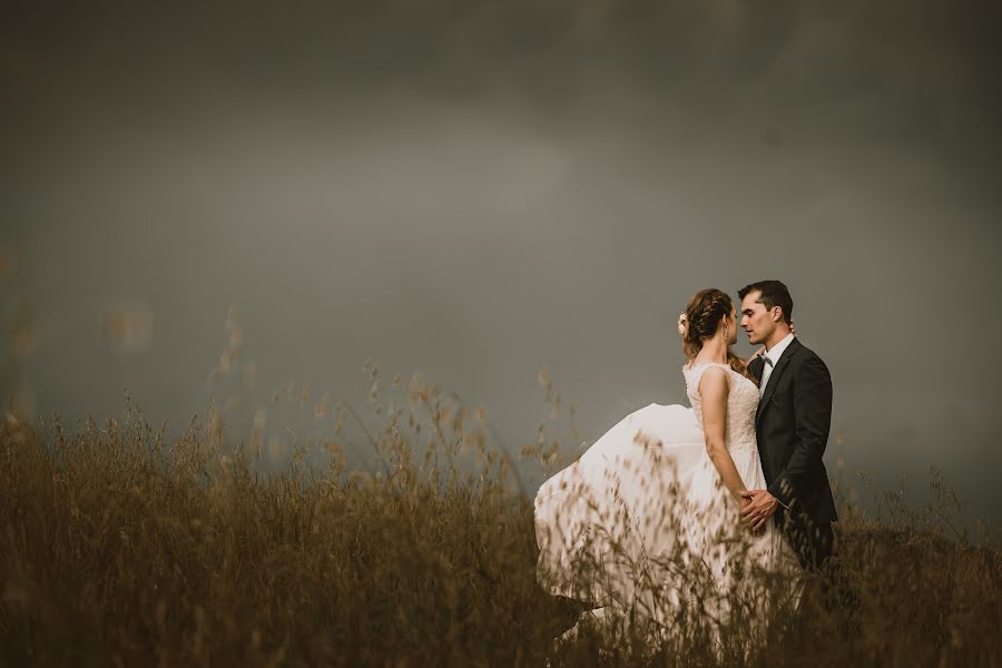 Fotografo di matrimoni Stefano Torreggiani (torreggiani). Foto del 14 giugno 2018