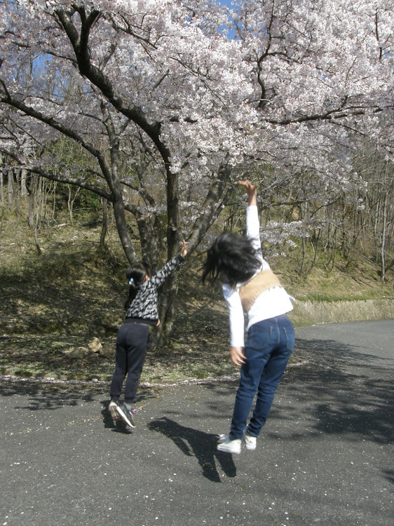 クラウンセダンの桜・桜と愛車・ドライブ・ストレス解消に関するカスタム事例の投稿画像6枚目