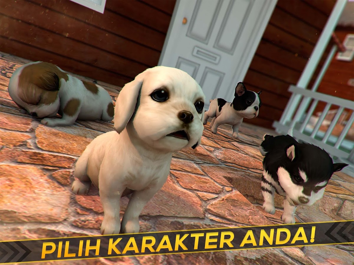 Anak Anjing Kucing Permainan Apl Android Di Google Play