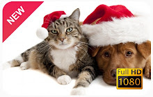 Cute Cats & Dogs New Tab small promo image