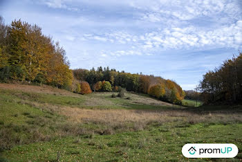 terrain à Rouairoux (81)