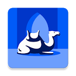 Cover Image of Herunterladen Saraý 2.1.1 APK