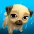 My Virtual Pet Louie the Pug icon