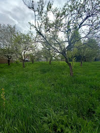 terrain à Aumetz (57)