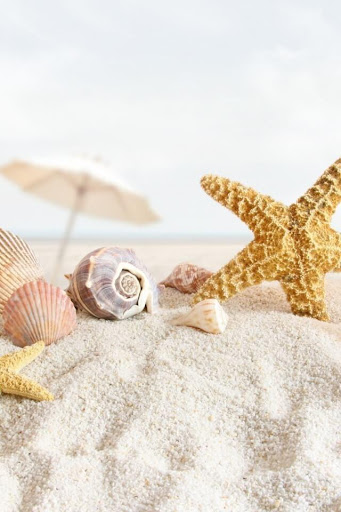 Sea Shell Live Wallpaper