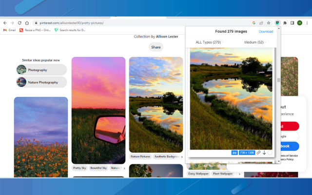 Full Image Downloader - Download all images Preview image 9