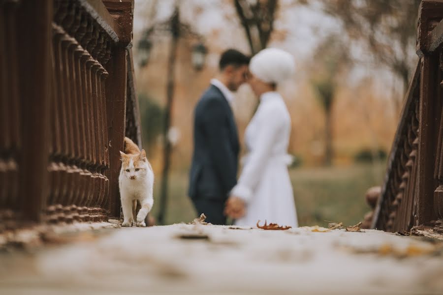 Wedding photographer Ali Kargı (akrgphotography). Photo of 11 December 2019