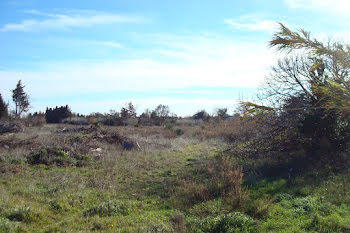 maison neuve à Pézilla-la-Rivière (66)