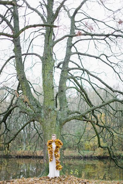 Svatební fotograf Tatyana Sozonova (sozonova). Fotografie z 12.listopadu 2015