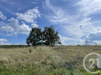 terrain à batir à Salies-de-bearn (64)