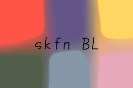 skfn BL集