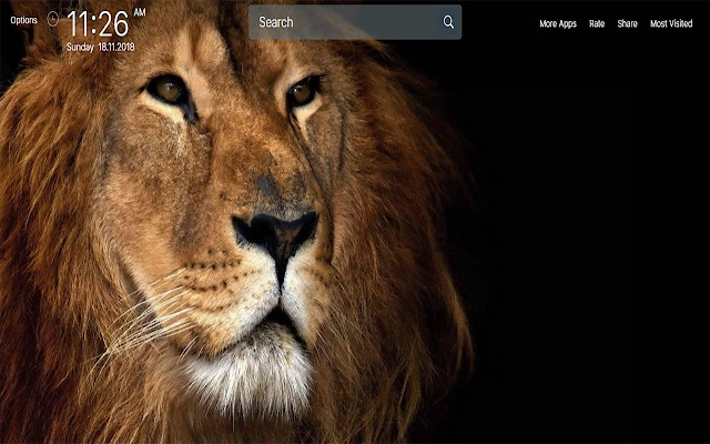 Lion Wallpapers New Tab