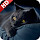 Black Cat - New Tab in HD