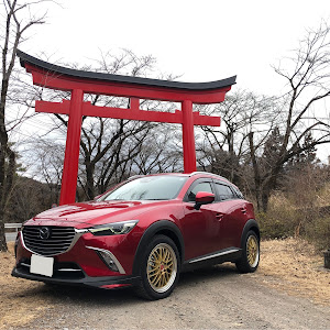 CX-3 DKEFW