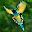 Bird sounds: Relax Nature Sounds HD Download on Windows