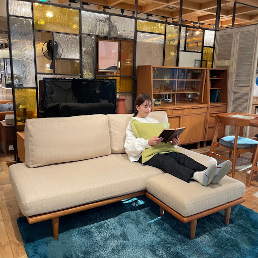 ZIZZI(ジッジ) カバーリングソファベッド D870 受注生産品 ZIZZI(ジッジ) カバーリングソファベッド D870 受注生産品