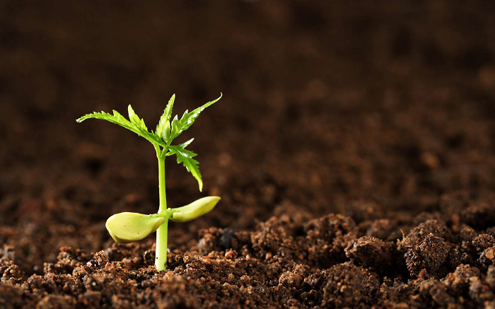 如何更富有？開始存下富資產，擁有工作外的收入來源