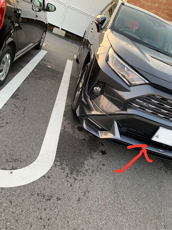 RAV4のりゅーちょさんが投稿したカスタム事例の投稿画像1枚目