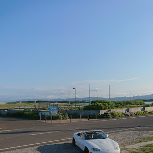 ロードスター NB8C