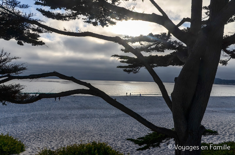 Carmel Beach