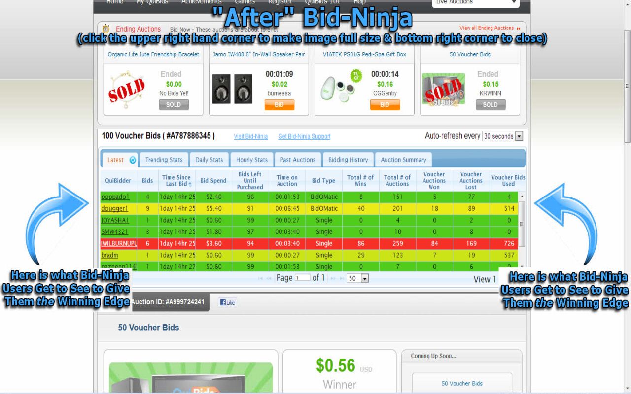 Bid-Ninja: Software for Quibids & Dealdash Preview image 3