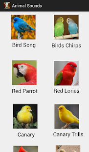 How to mod Animal Sounds 1.0 apk for bluestacks