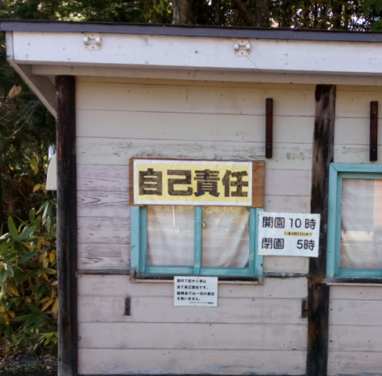 アルトラパンの秋を探す・トップ湖・カナディアンワールドに関するカスタム事例の投稿画像8枚目