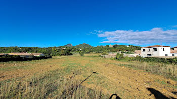 terrain à Saint-Mathieu-de-Tréviers (34)