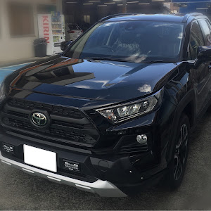 RAV4 MXAA54