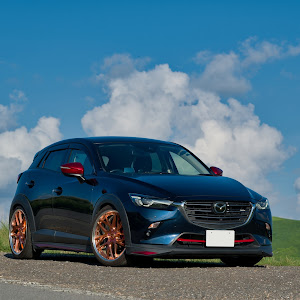 CX-3 DKEFW