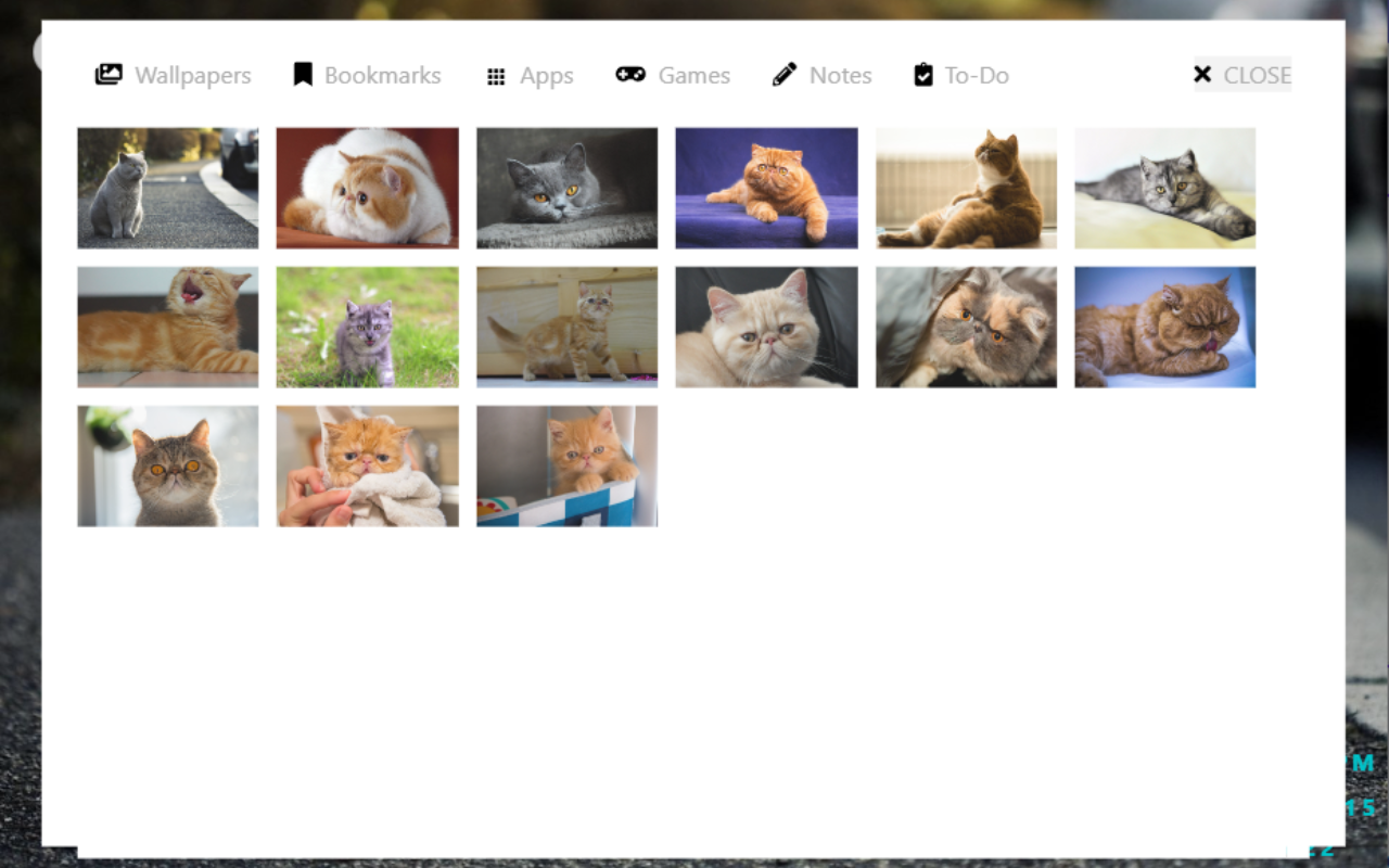 PetsTab: Cute Animal New Tab Theme For Chrome Preview image 6