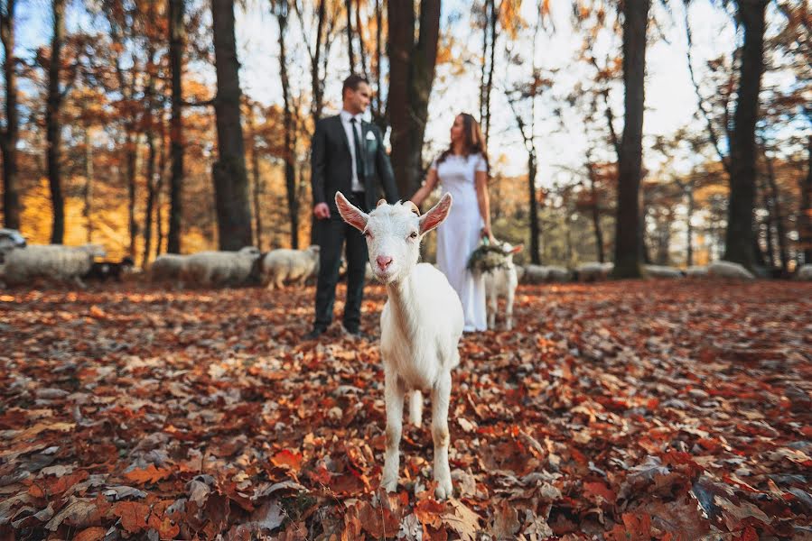 Photographer sa kasal Oleksandr Cubera (alexsova). Larawan ni 1 Nobyembre 2016