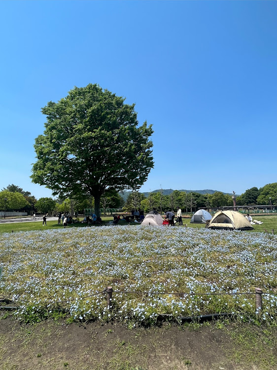 の投稿画像21枚目