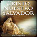 Cristo Nuestro Salvador icon