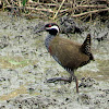 Barred Rail