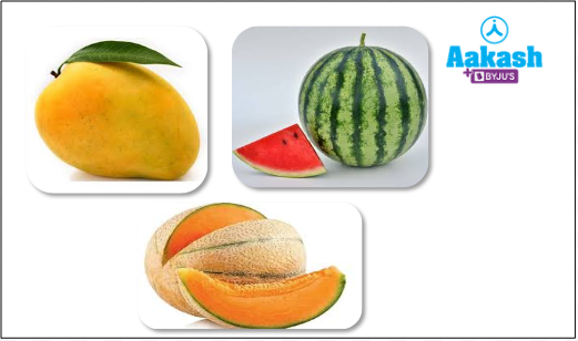 List of the Different Types of Fruits With Pictures