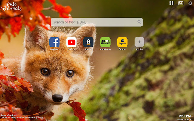 Cute Animals New Tab Theme chrome extension