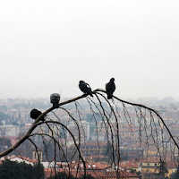 I guardiani del cielo di 