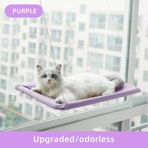 images slider number - 4