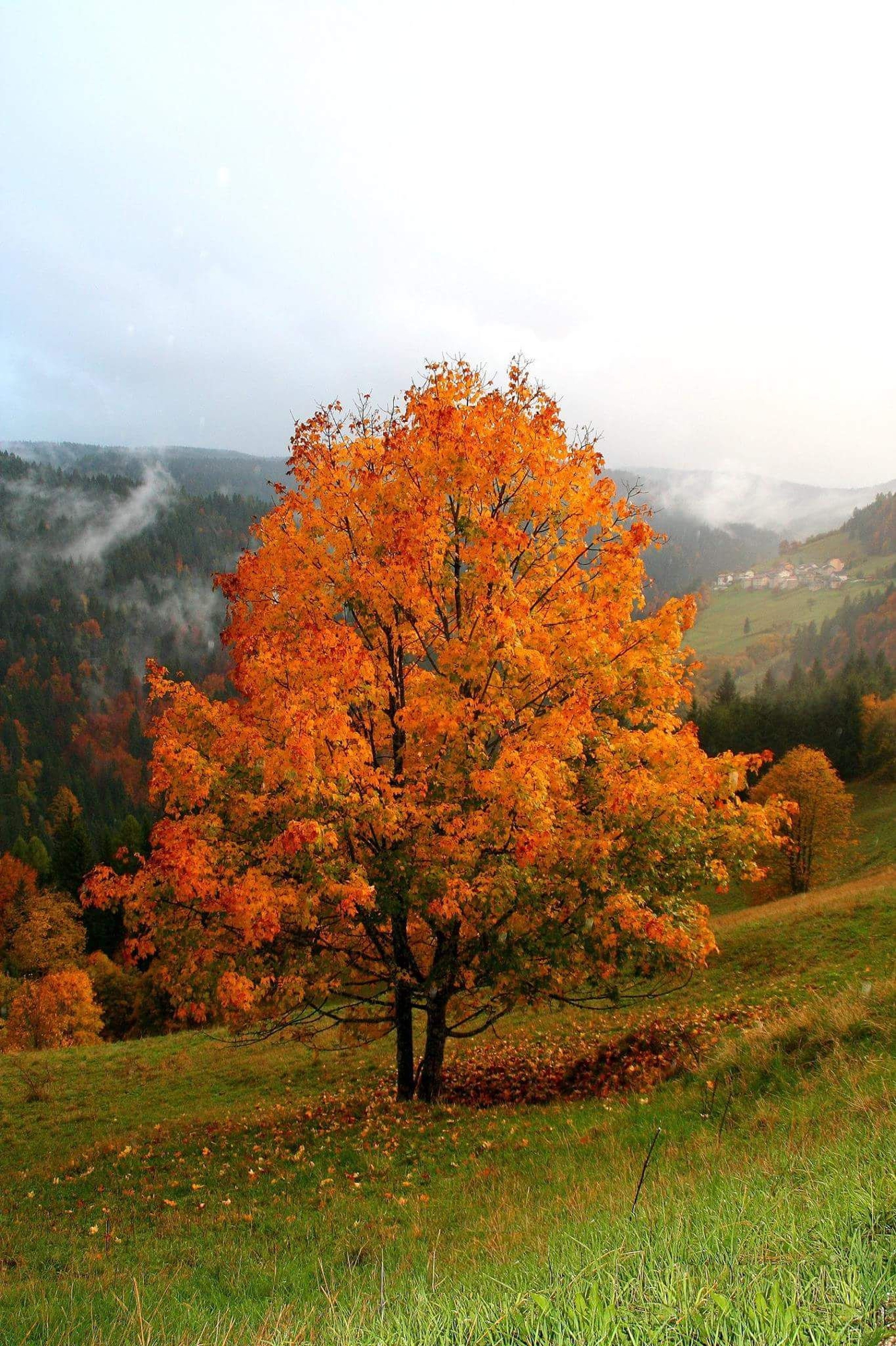 Autunno in Trentino di Zio_Tibia