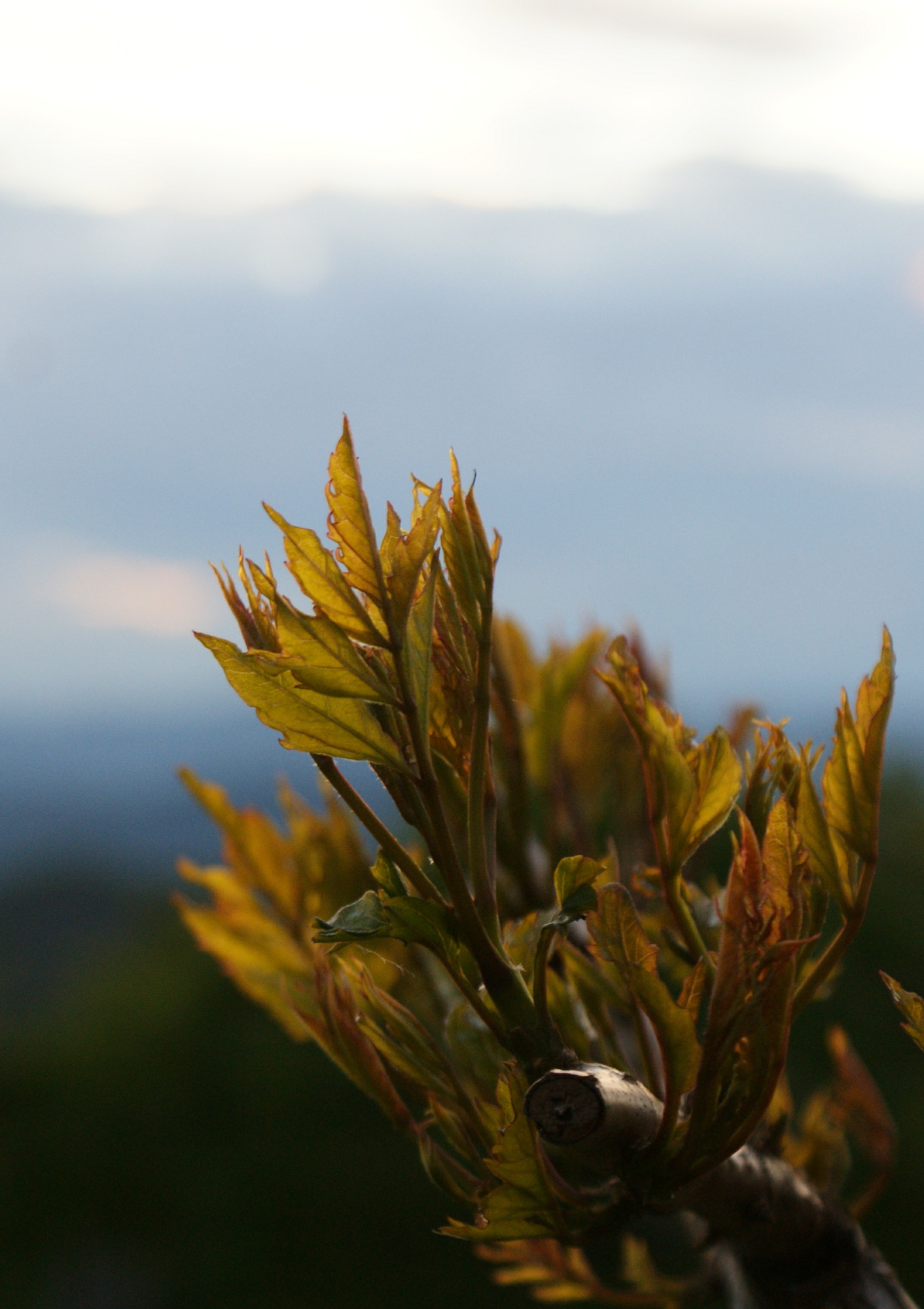 Aria d'autunno di Michi